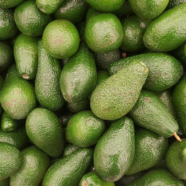 Avocado Farming: A Viable And Sustainable Business Venture. By Peter Owinje.