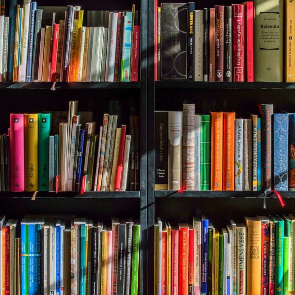 The Benefits of Higher Education